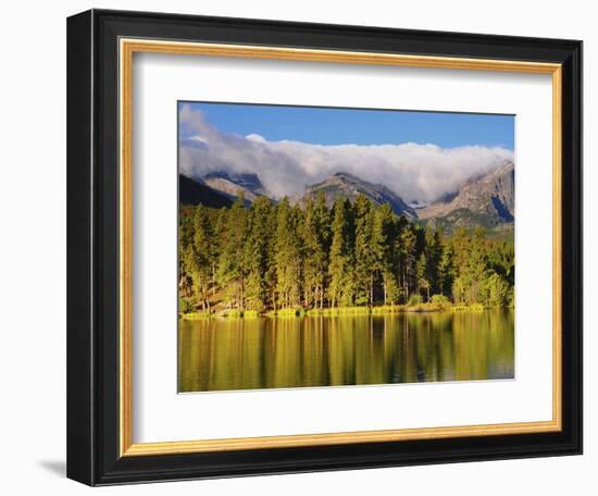 Reflections on Sprague Lake, Rocky Mountain National Park, Colorado, USA-Michel Hersen-Framed Photographic Print