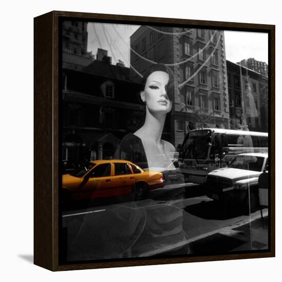 Reflections-null-Framed Premier Image Canvas