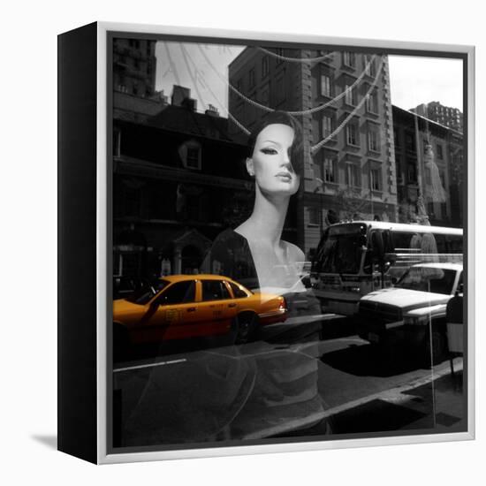 Reflections-null-Framed Premier Image Canvas
