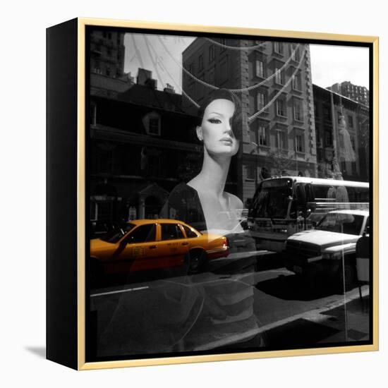 Reflections-null-Framed Premier Image Canvas