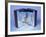 Reflections-Andrew Lambert-Framed Photographic Print