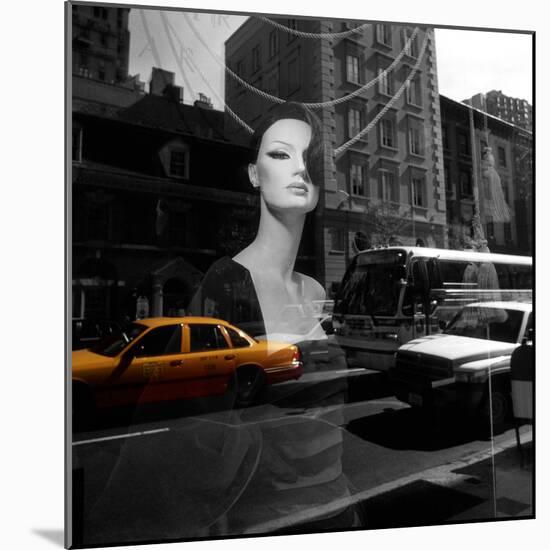 Reflections-null-Mounted Photographic Print