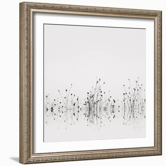 Reflections-Nicholas Bell-Framed Photographic Print