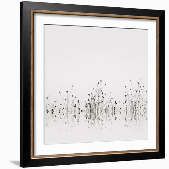 Reflections-Nicholas Bell-Framed Photographic Print