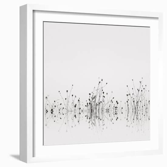 Reflections-Nicholas Bell-Framed Photographic Print