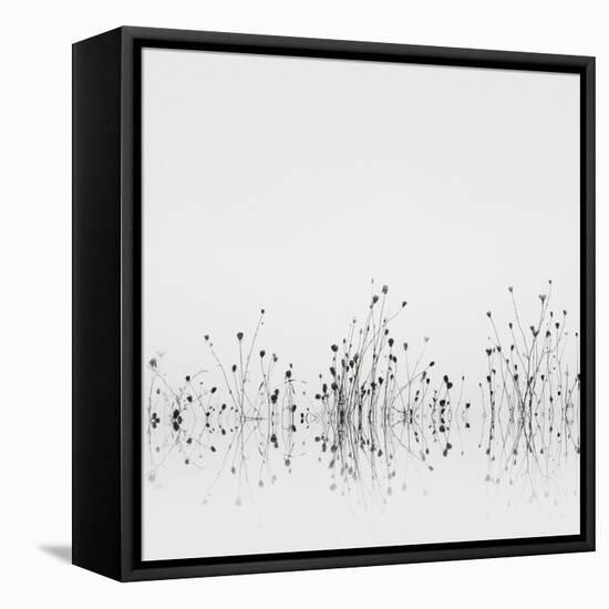 Reflections-Nicholas Bell-Framed Stretched Canvas