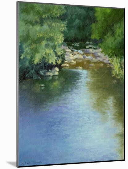 Reflections-Mary Jean Weber-Mounted Art Print