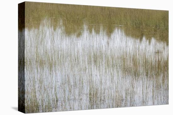 Reflective Marshes-Mike Toy-Framed Stretched Canvas