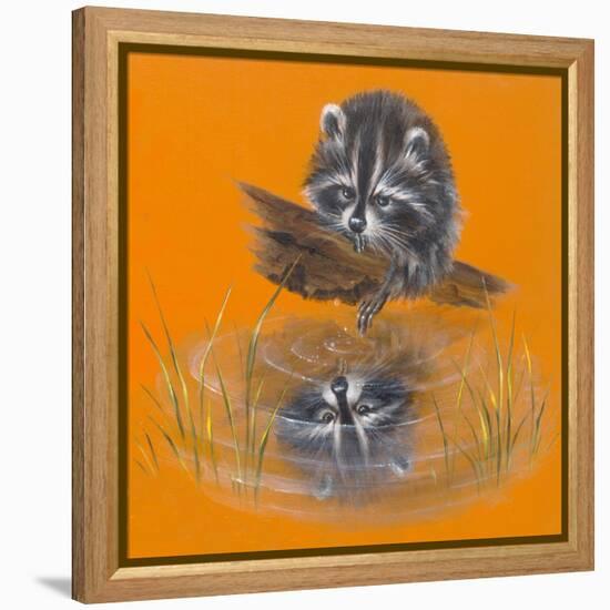 Reflective Racoon - 35A-Peggy Harris-Framed Premier Image Canvas