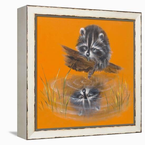 Reflective Racoon - 35A-Peggy Harris-Framed Premier Image Canvas