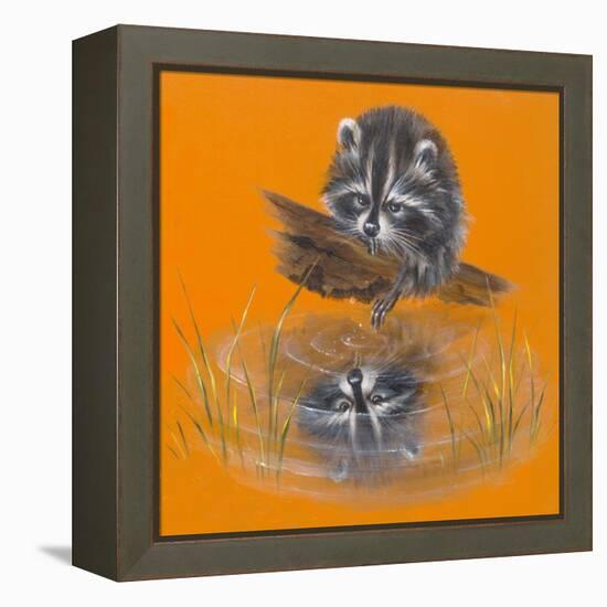 Reflective Racoon - 35A-Peggy Harris-Framed Premier Image Canvas