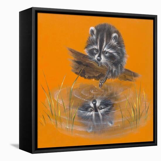 Reflective Racoon - 35A-Peggy Harris-Framed Premier Image Canvas