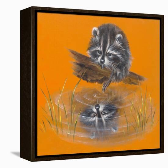 Reflective Racoon - 35A-Peggy Harris-Framed Premier Image Canvas