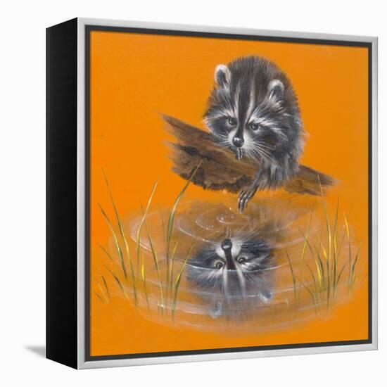 Reflective Racoon - 35A-Peggy Harris-Framed Premier Image Canvas