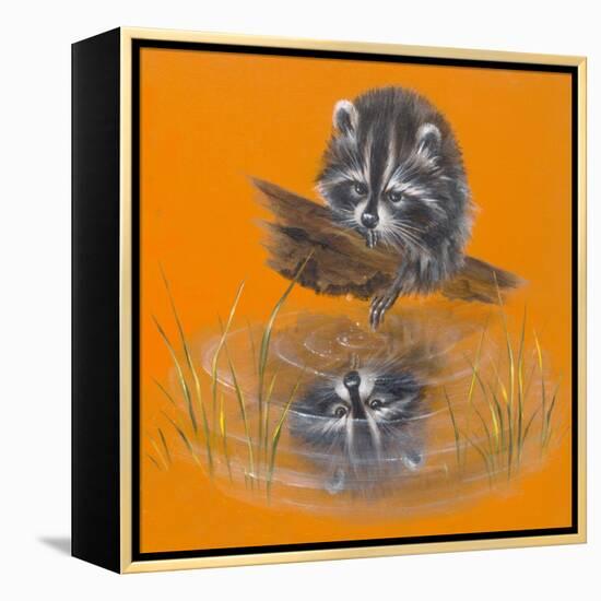 Reflective Racoon - 35A-Peggy Harris-Framed Premier Image Canvas