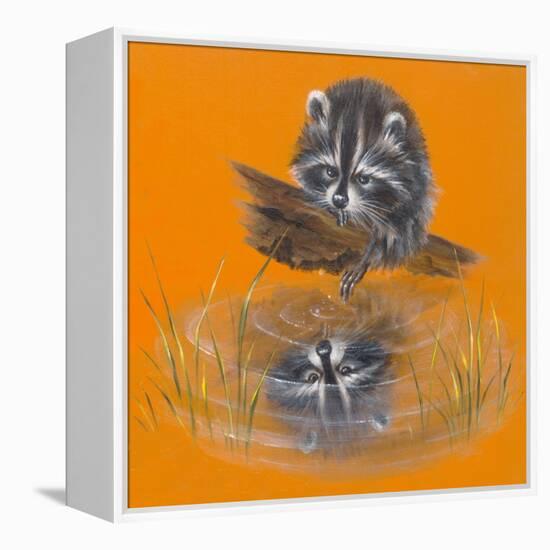 Reflective Racoon - 35A-Peggy Harris-Framed Premier Image Canvas