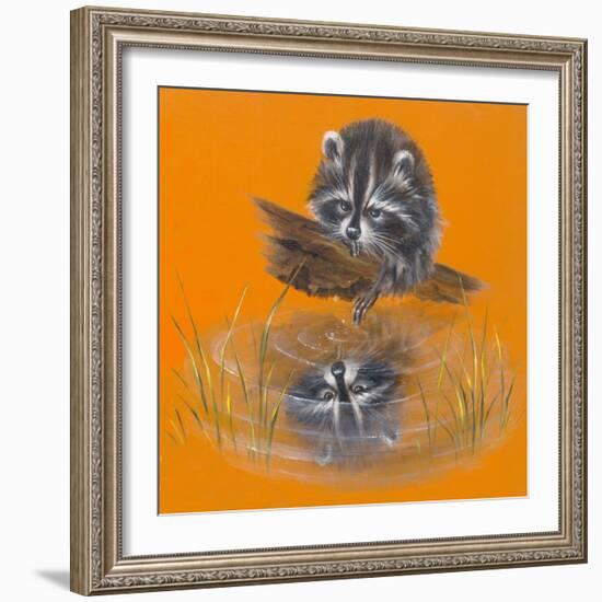 Reflective Racoon - 35A-Peggy Harris-Framed Giclee Print