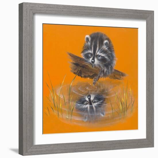 Reflective Racoon - 35A-Peggy Harris-Framed Giclee Print