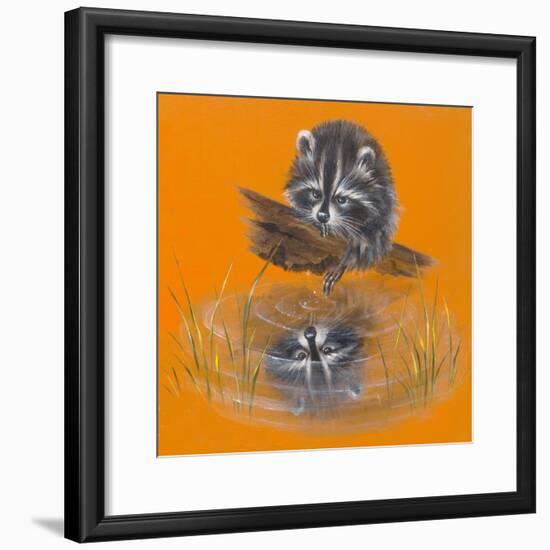 Reflective Racoon - 35A-Peggy Harris-Framed Giclee Print