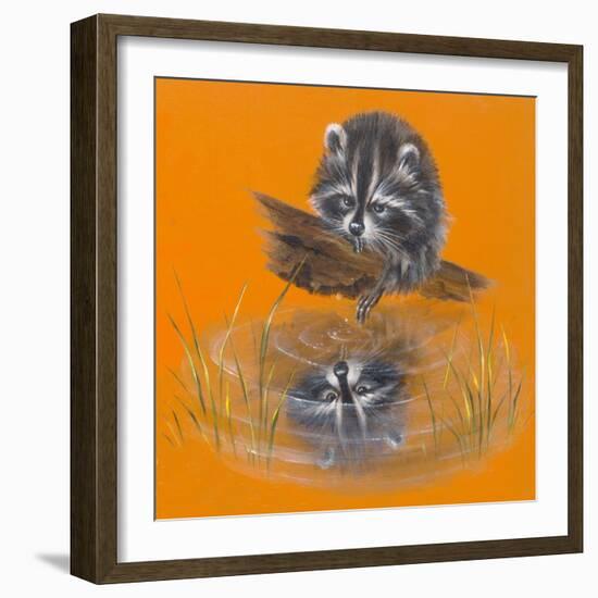 Reflective Racoon - 35A-Peggy Harris-Framed Giclee Print