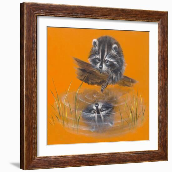 Reflective Racoon - 35A-Peggy Harris-Framed Giclee Print