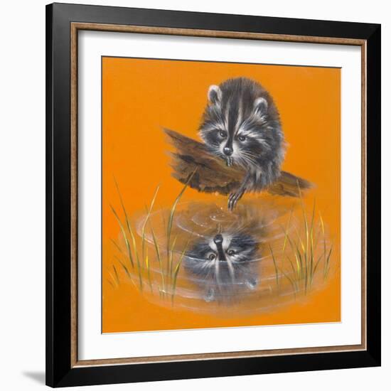 Reflective Racoon - 35A-Peggy Harris-Framed Giclee Print