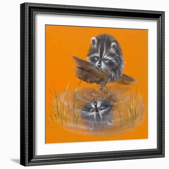 Reflective Racoon - 35A-Peggy Harris-Framed Giclee Print