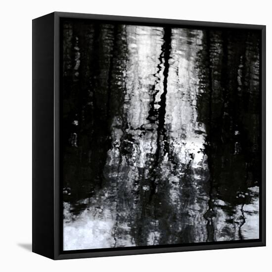 Reflective-Michael Barrett-Framed Stretched Canvas