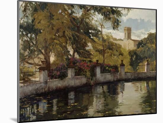 Reflejos en el Estanque-Poch Romeu-Mounted Art Print