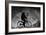 Reflex-Antonio Grambone-Framed Giclee Print