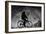 Reflex-Antonio Grambone-Framed Giclee Print