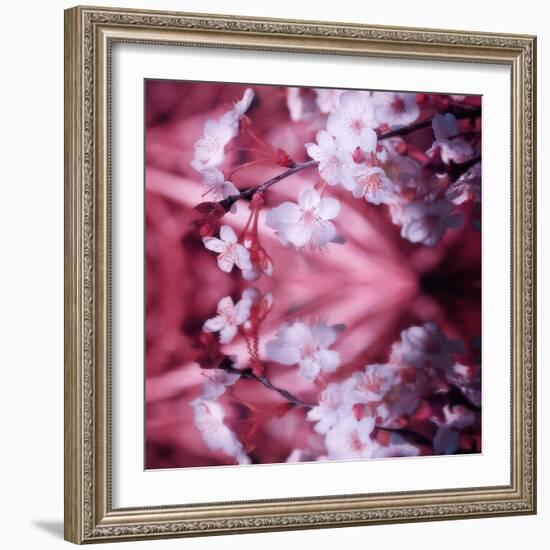 Reflex-Philippe Sainte-Laudy-Framed Photographic Print