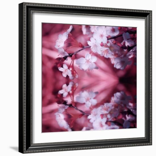 Reflex-Philippe Sainte-Laudy-Framed Photographic Print