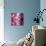 Reflex-Philippe Sainte-Laudy-Photographic Print displayed on a wall