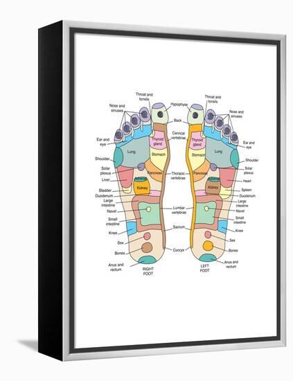 Reflexology Foot Map, Artwork-Peter Gardiner-Framed Premier Image Canvas