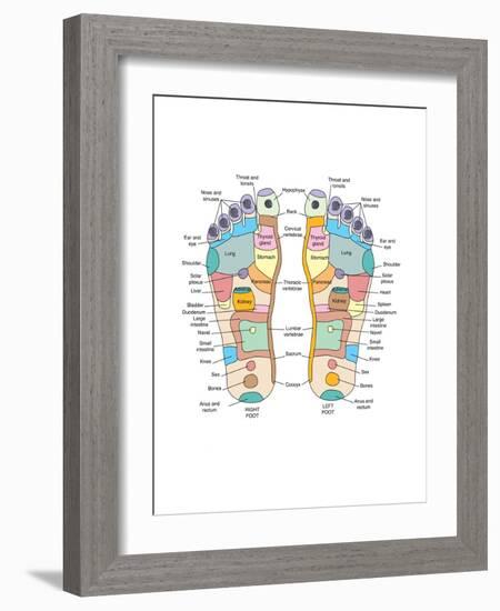 Reflexology Foot Map, Artwork-Peter Gardiner-Framed Photographic Print