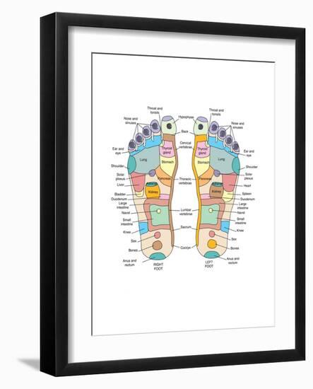 Reflexology Foot Map, Artwork-Peter Gardiner-Framed Photographic Print