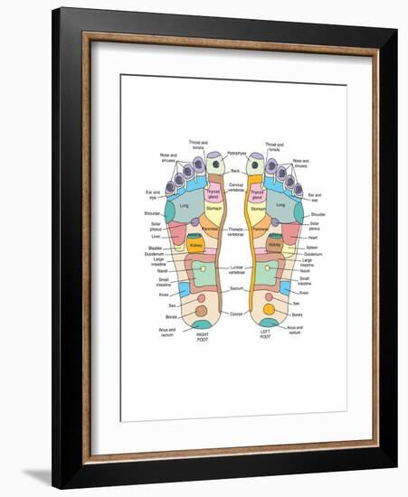 Reflexology Foot Map, Artwork-Peter Gardiner-Framed Photographic Print