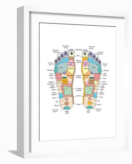 Reflexology Foot Map, Artwork-Peter Gardiner-Framed Photographic Print