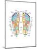 Reflexology Foot Map, Artwork-Peter Gardiner-Mounted Photographic Print