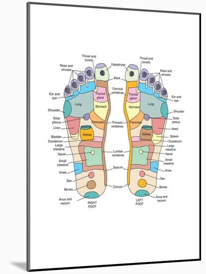 Reflexology Foot Map, Artwork-Peter Gardiner-Mounted Photographic Print