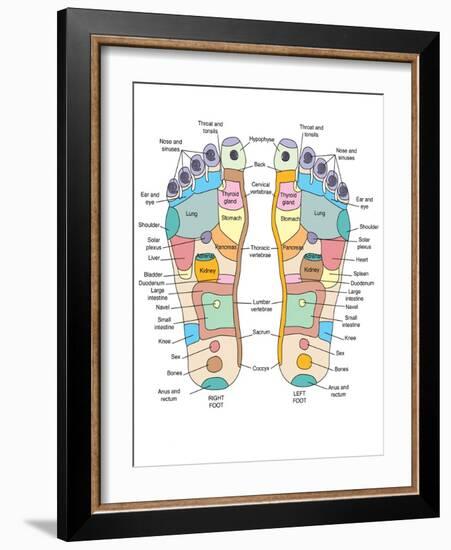 Reflexology Foot Map, Artwork-Peter Gardiner-Framed Photographic Print