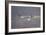 Refracted Light-Bruce Dumas-Framed Giclee Print