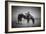 Refresh-Dan Ballard-Framed Photographic Print