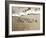 Refresh-Alan Hausenflock-Framed Photographic Print