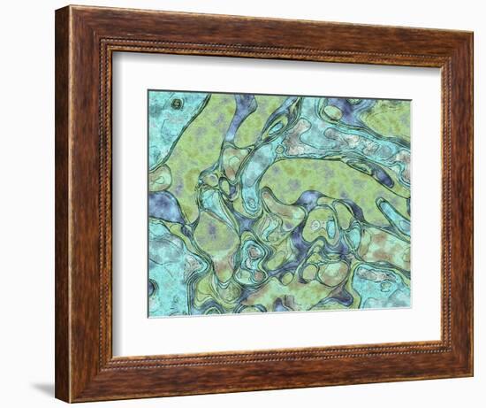 Refresh-Ruth Palmer-Framed Art Print