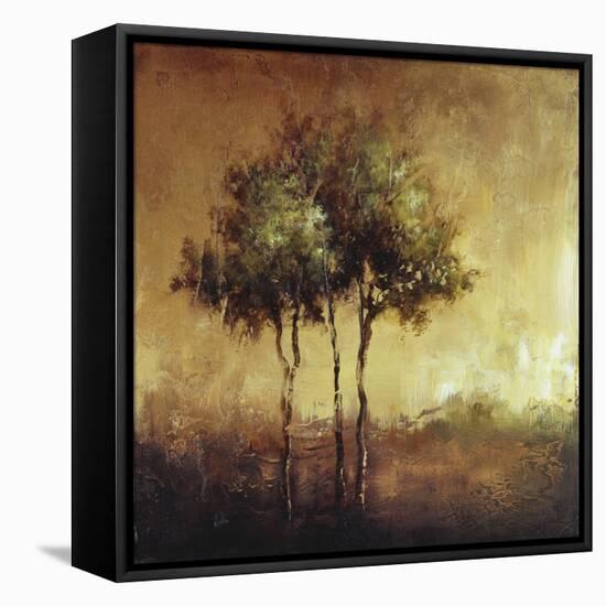 Refuge I-Tracey Lane-Framed Premier Image Canvas