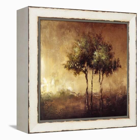 Refuge II-Tracey Lane-Framed Premier Image Canvas