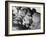 Refugee Babies Born During Flight WWII-Robert Hunt-Framed Photographic Print