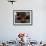 Refugee Boys Eat Tangerines at a Small Refugee Camp-null-Framed Photographic Print displayed on a wall